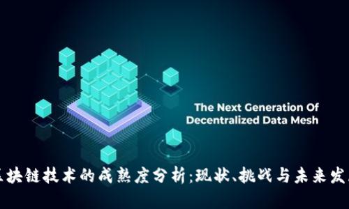 区块链技术的成熟度分析：现状、挑战与未来发展